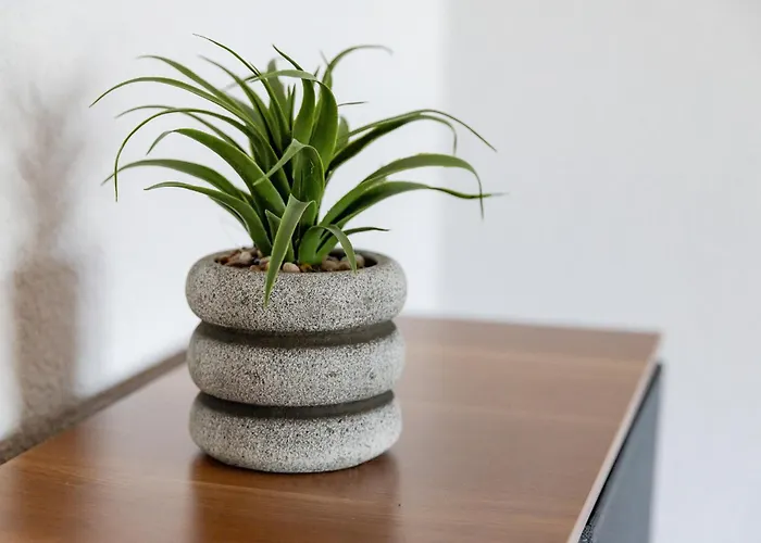 Farge Mit 6 Schlafplaetzen Апартаменты *